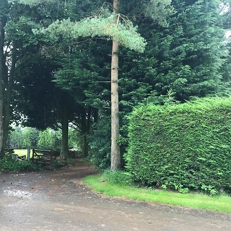 The Stables Near Glasgow Balmore Exteriör bild